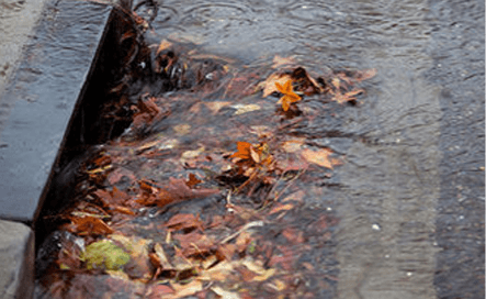 Blocked Stormwater Drain